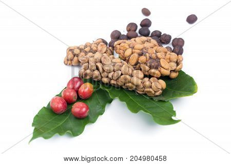 Kopi Luwak Or Civet Coffee, Coffee Beans Excreted By The Civet Isolated On White Background