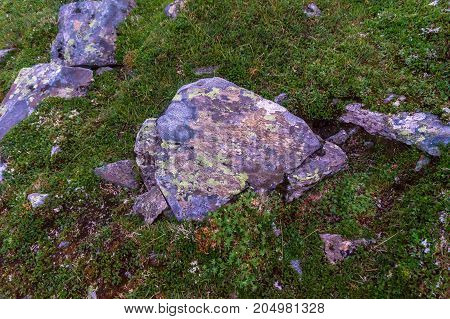 Multicolored stones and moss in mountains of Western Norway