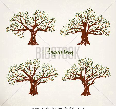 Set of isolated argan trees with leaf or leaves crown and branch. Fruit argania plant for healthy vegetarian or vegan food and oil. Garden grove banner or medicine paper, skincare logo, bottle sticker