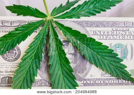 Element Of Bill Of The American Dollar With Sheet Of Cannabis, Marijuana. Money With  Leaf Of Hashis