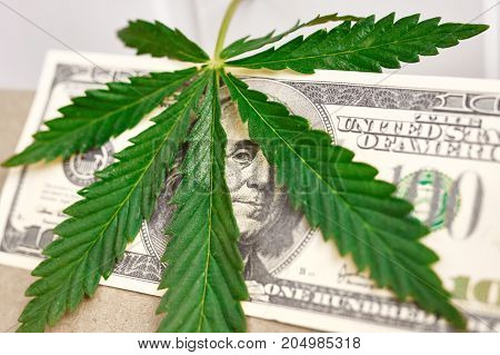 Element Of Bill Of The American Dollar With Sheet Of Cannabis, Marijuana. Money With  Leaf Of Hashis