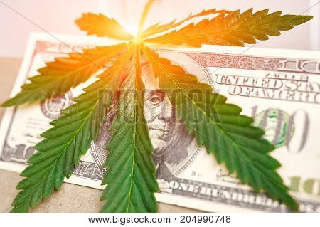 Element Of Bill Of The American Dollar With Sheet Of Cannabis, Marijuana. Money With  Leaf Of Hashis
