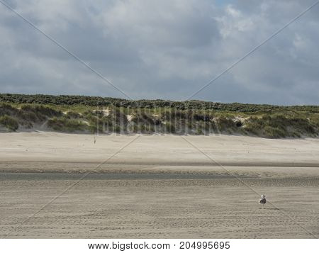ther geman Island of spiekeroog in the North sea