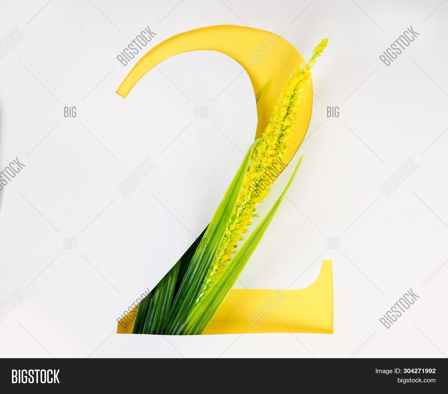 Letter 2 Numbers Paper Image & Photo (Free Trial) | Bigstock