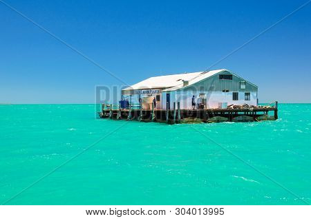 The Floating Pontoon Of The Blue Lagoon Pearl Shop - Monkey Mia, Wa, Australia, 4 December 2014