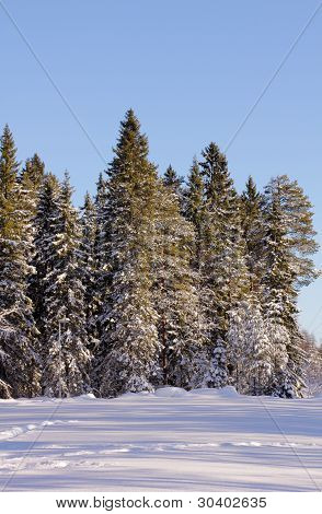 Talvimaisema