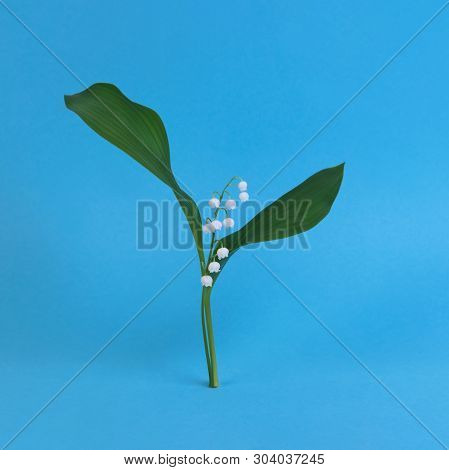 Lily Of The Valley On A Blue Background. Art Surrealism And Minimalism Concept. Holiday Of Lilies Of