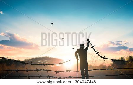 World Refugee Day Concept: Free Bird Flying Over Broken Barbed Wire