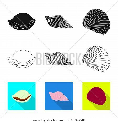 Vector Design Of Animal And Decoration Icon. Set Of Animal And Ocean Vector Icon For Stock.