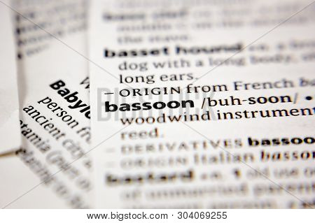 Word Or Phrase Bassoon In A Dictionary.