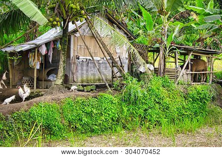 Bali, Indonesia - February Circa, 2019. View Of Balinese Traditional House Farm At Tenganan Pegrings