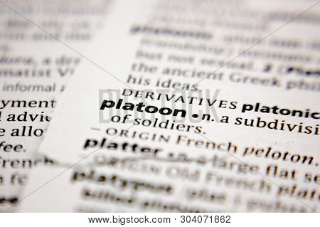 Word Or Phrase Platoon In A Dictionary.