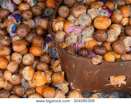 Rotten Mandarin Oranges On The Landfill. Spoilt Citrus Products. Rotten Tropical Fruit. Pile Of Garb