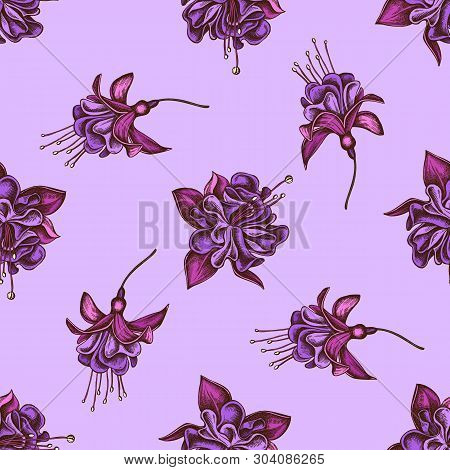 Seamless Pattern With Hand Drawn Colored Fuchsia