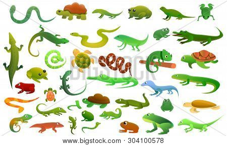 Reptiles Amphibians Icons Set. Cartoon Set Of Reptiles Amphibians Vector Icons For Web Design