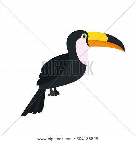 Beautiful Toucan On White Background Vector Illustration Design