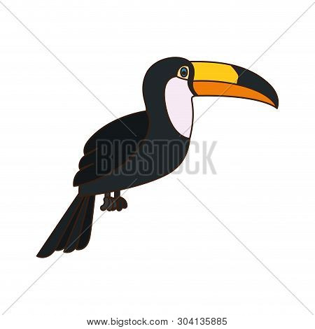 Beautiful Toucan On White Background Vector Illustration Design