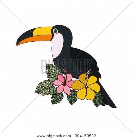 Beautiful Toucan On White Background Vector Illustration Design