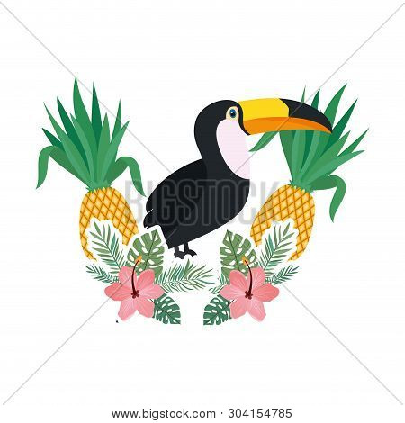 Beautiful Toucan On White Background Vector Illustration Design