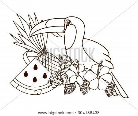 Beautiful Toucan On White Background Vector Illustration Design