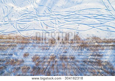 Top View Of Straight Rows Of Bare Trees With Long Shadows Along A Snowy Field With Shifty Trails On 