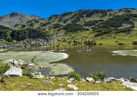Amazing Landscape With Prevalski Lakes Near Mozgovishka Pass, Pirin Mountain, Bulgaria