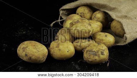 Potatoes On Black Surfase In A Canvas Bag. Fresh Potato With Traces Of Earth On The Skin. Dirty Raw 