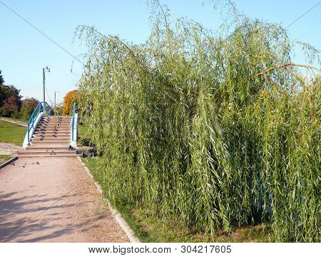 Bridge Over Pond With Handhold At Dry Sunny Summer Day