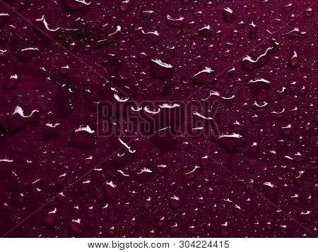 Detail Of A Tyrian Purple Background With Rain Drops