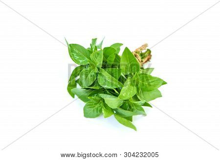 Fresh Homemade Greens From The Garden. Isolate Selective Focus.