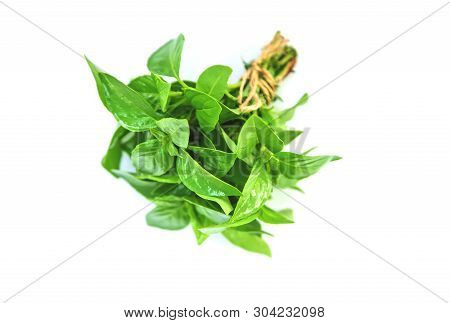Fresh Homemade Greens From The Garden. Isolate Selective Focus.