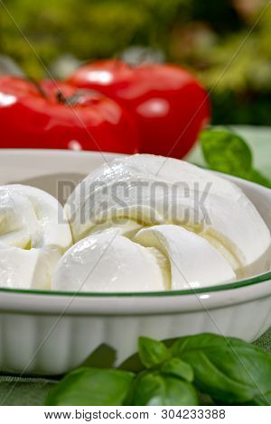 Twisted To Form A Plait Treccia Mozzarella Italian Soft Cheese Served With Fresh Basil And Tomatoes