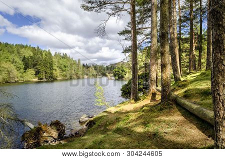 The Picturesque Tarn Hows Showing The Water And The Shore Side Trees. Part Of The National Park At C