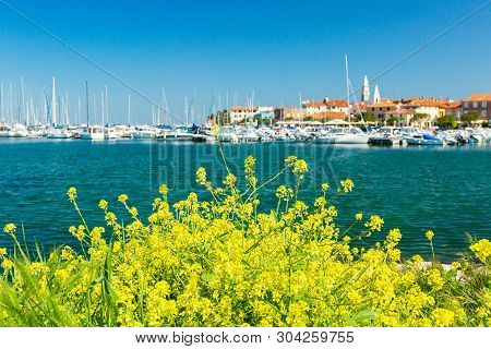 Scenic Harbour With Boats And Brightly Coloured Houses On The Flowers Forground Waterfront In Izola 