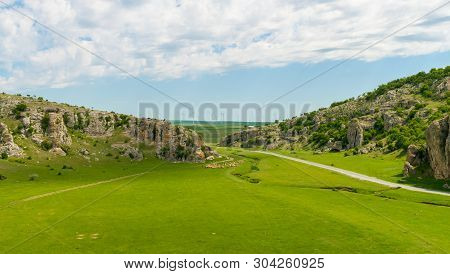 A Flock Of Sheeps Grazing Over Green Grass