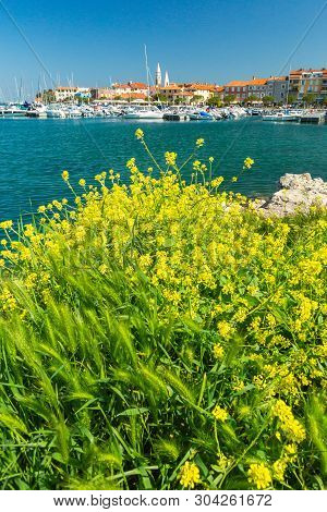 Izola, Slovenia - May 1, 2019: Scenic Harbour With Boats And Brightly Coloured Houses On The Flowers