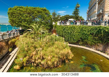 Syracuse - April 2019, Sicily, Italy: The Fountain Of Arethusa On The Island Of Ortygia. Papyrus Pla