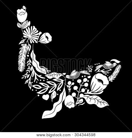Vaquita Marina Blue Whale Sealife  Vector Illustration
