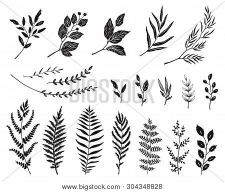 Set Of Leaves And Branches Silhouettes, Hand Drawn Vector Illustration.