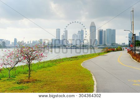 View Of Singapore Riverbank In Marina Barrage - Popular Place For Workout And Sport Exercices. Singa