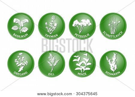 Herbs Vector Cook Taste Flavor Aroma Eat Leaves Collect