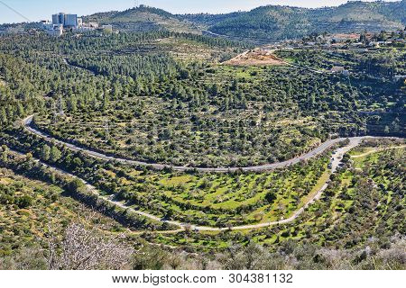 Forest Of Sataf West Of Jerusalem Israel. A Beautiful Area Of Hiking And Enjoying The Nature.