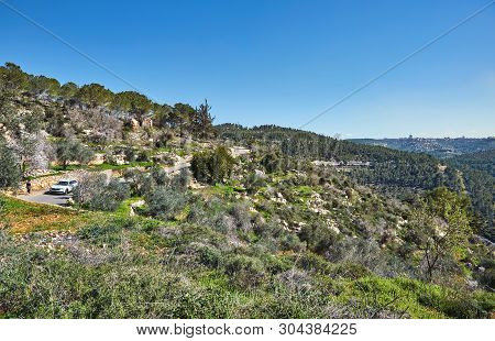 Forest Of Sataf West Of Jerusalem Israel. A Beautiful Area Of Hiking And Enjoying The Nature.