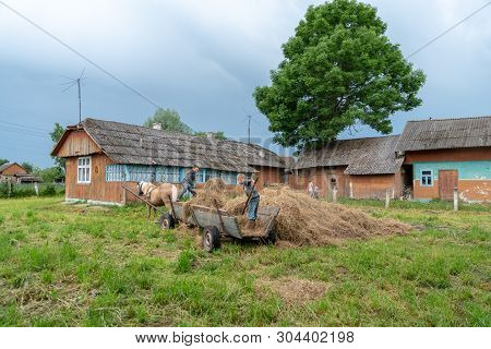 Litynia Village, Ukraine - June 02, 2018: Two Young Boys Throw Hay Out Of A Cart, Stocking Hay For L
