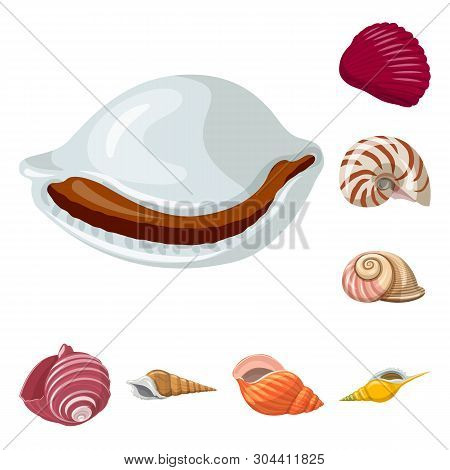Vector Illustration Of Seashell And Mollusk Sign. Set Of Seashell And Seafood  Stock Vector Illustra