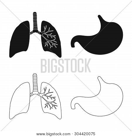 Vector Design Of Biology And Scientific Icon. Set Of Biology And Laboratory Vector Icon For Stock.