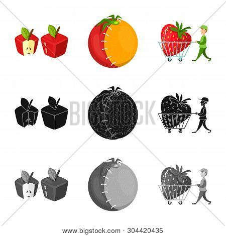 Isolated Object Of Test And Synthetic Sign. Collection Of Test And Laboratory Stock Vector Illustrat