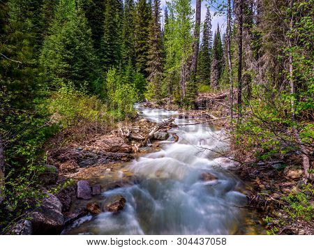 An Image Of A Creek That Shows The Scars Of A Long Tough Winter In Flathead National Forest.