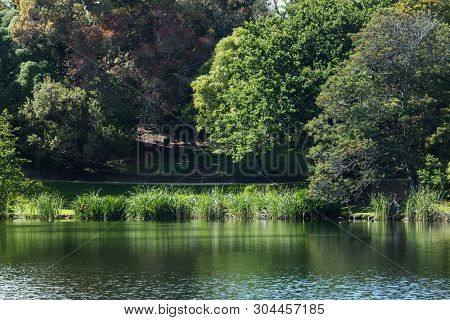 The Beauty Of The Peaceful Lake In Wanganui