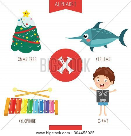 Vector Illustration Of Alphabet Letter X And Pictures